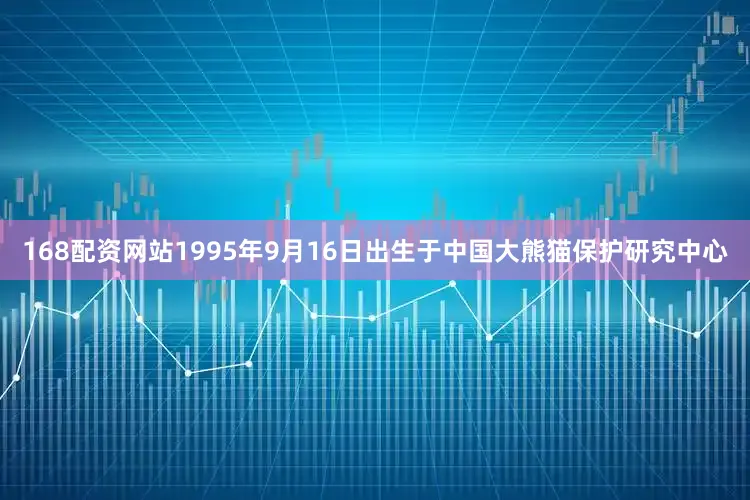168配资网站1995年9月16日出生于中国大熊猫保护研究中心