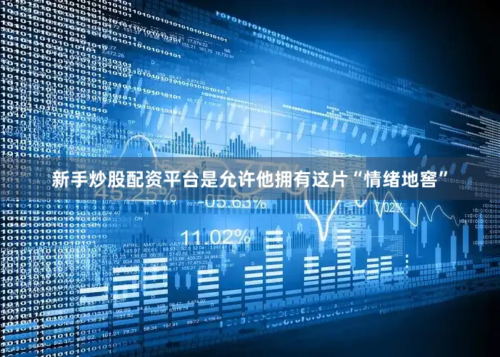 新手炒股配资平台是允许他拥有这片“情绪地窖”