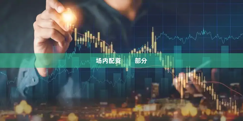 场内配资        部分