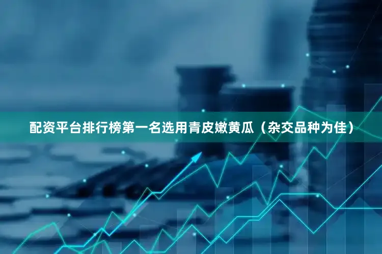 配资平台排行榜第一名选用青皮嫩黄瓜（杂交品种为佳）